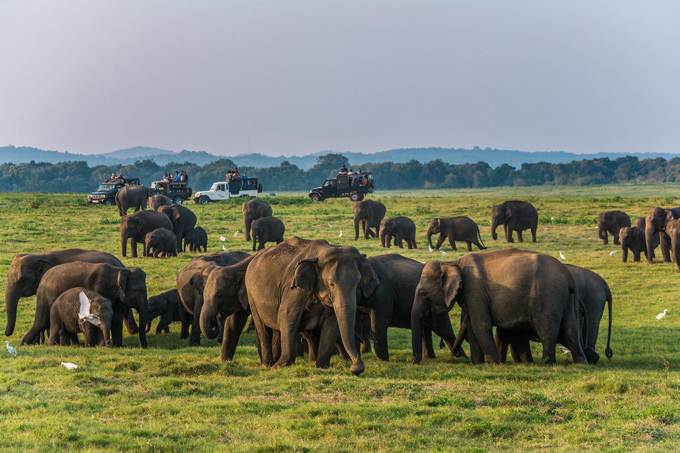 Sustainable Sri Lanka