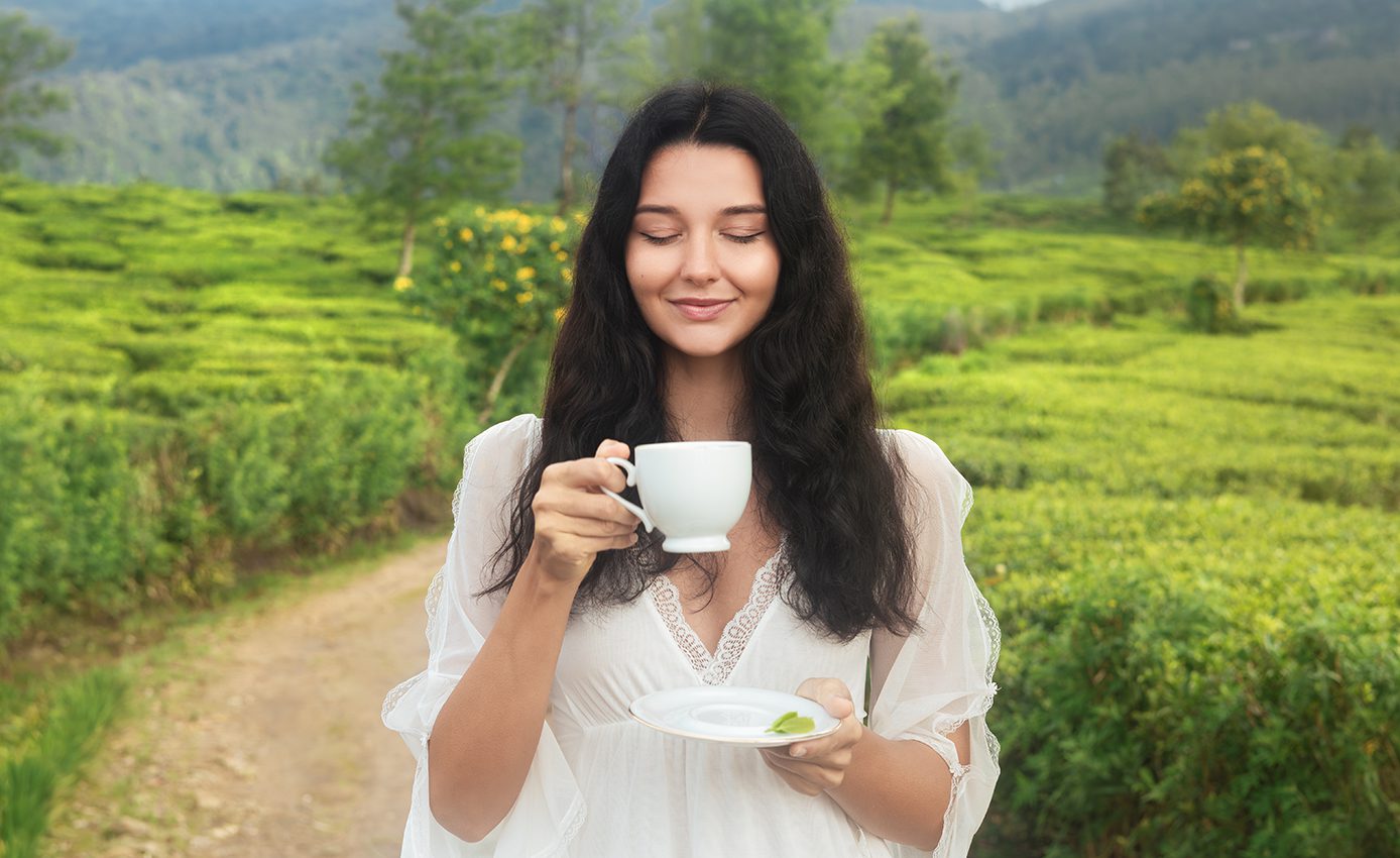 Little England Day Tour<br/>Nuwara Eliya Highlights