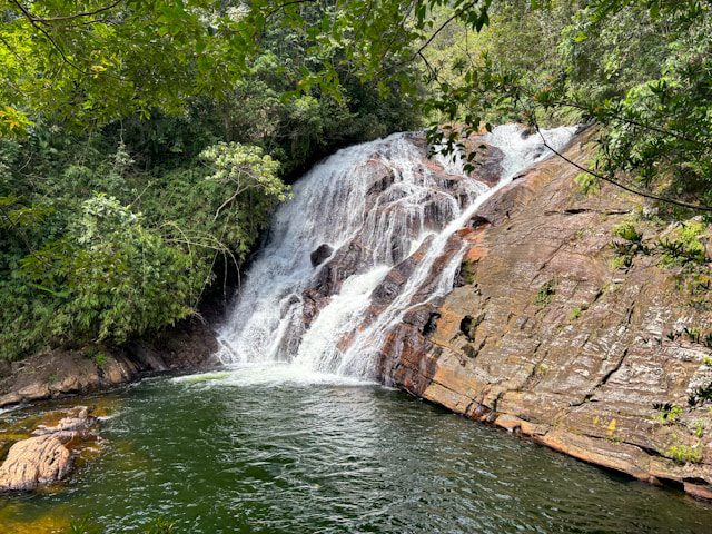 Sinharaja Rainforest Trekking Tour UNESCO World Heritage Site