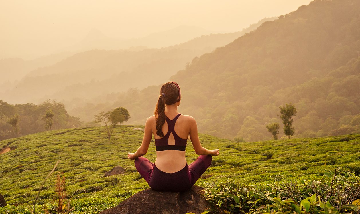 Cultural, Scenic & Wellness Sri Lanka
