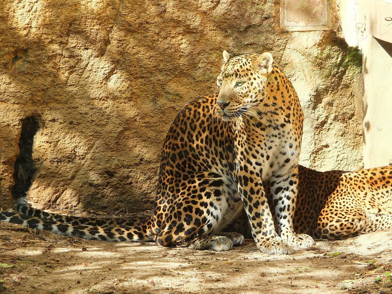 Wildlife & Waterfalls Family Tour