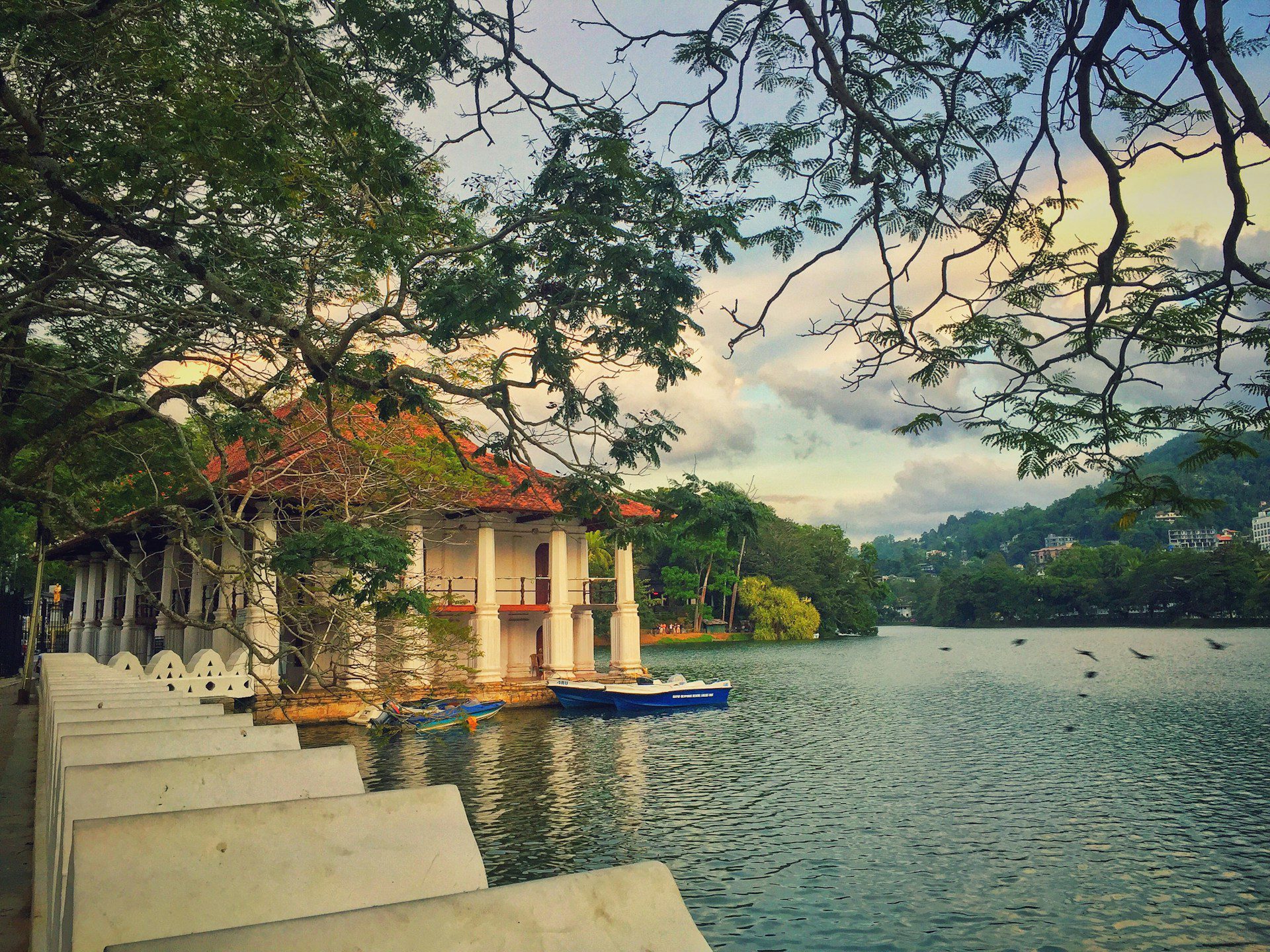 Kandy Day Tour Highlights