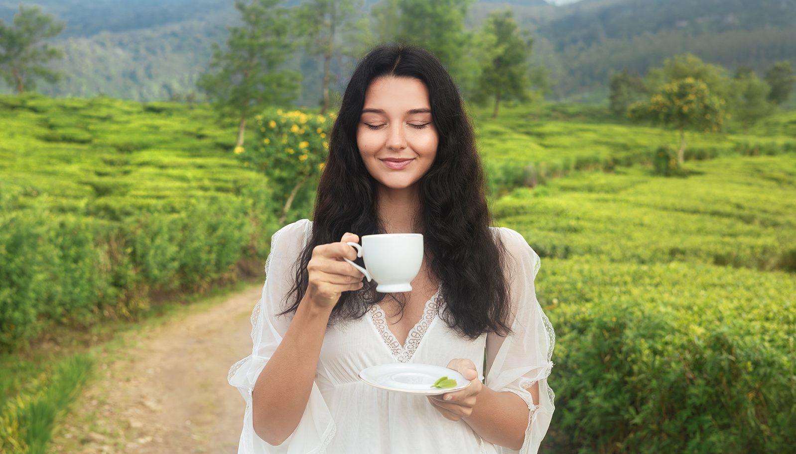 Sri Lanka Wellness Retreat