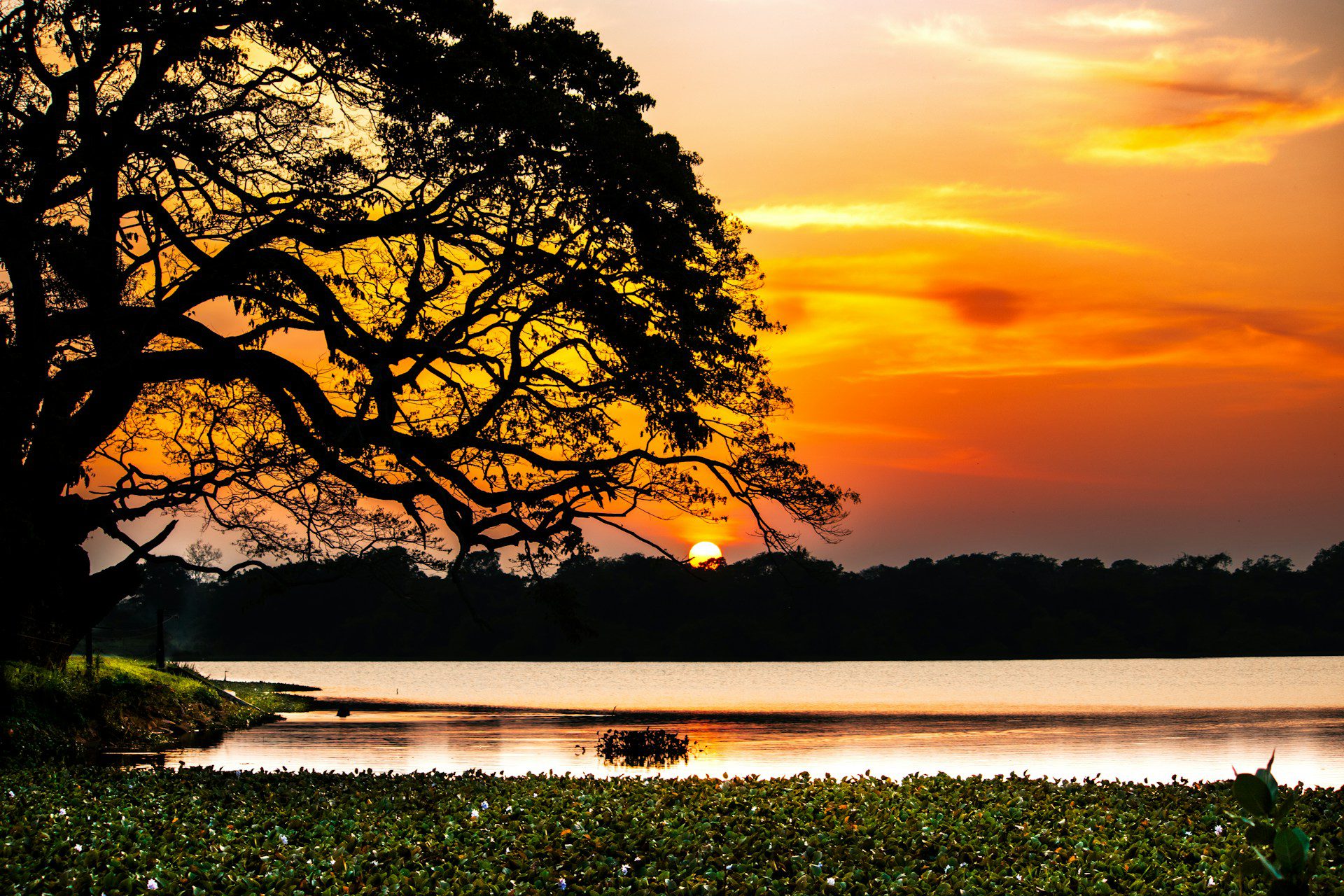 Wilpattu National Park Day Tour